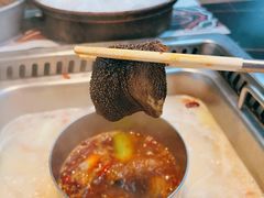 绿色草原千层肚-大隐·成都火锅Bistro(合生麒麟新天地店)