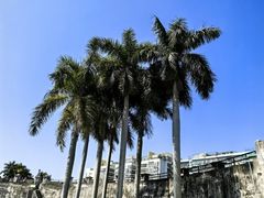 -石炮台公园