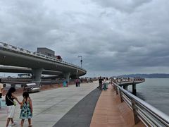 -演武大桥观景平台