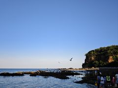 -棒棰岛宾馆景区