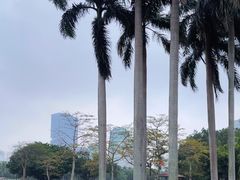 -万绿园