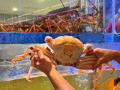 -南海渔村(珠江新城店)