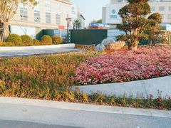 -成都市文化公园