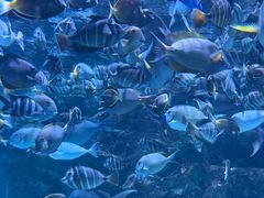 -海合安成都极地海洋公园