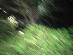 -兰溪青年公园