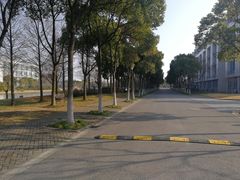 -上海海事大学(临港校区)