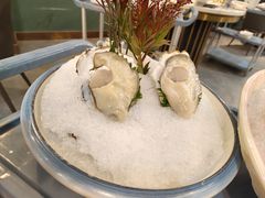 深海生蚝-喜聚薈·花膠雞海鮮火鍋(越秀店)