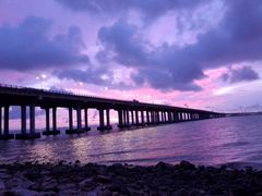 -宝安西湾红树林湿地公园