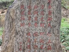 -上海佘山国家森林公园天马山园