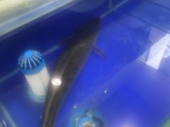 -活鱼馆(宜兴埠店)