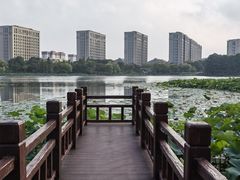 -海天湖公园