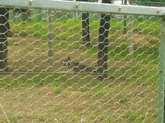 -秦皇岛野生动物园