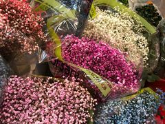 -双季花艺园艺市场(浦东店)