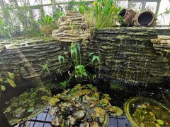 -国家植物园南园