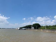 -大湾区中央湿地公园-十九涌