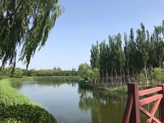 -大兴滨河森林公园