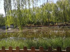 -东升八家郊野公园