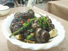 -遇龙河大樟树农家乐