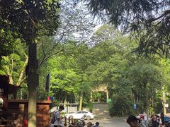 -紫金山山顶公园