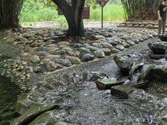 -成都市活水公园