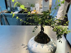 -北芒BEIMO COFFEE(五台山店)
