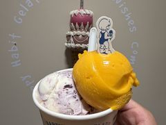 -海比甜店·意式手工冰激淋happy habit gelato