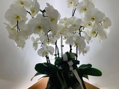 -光作面包Voila Lumiere(中山店)