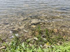 -黄牛肉馆·皖南土菜