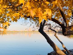 -长春市南湖公园