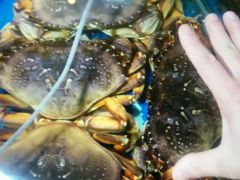 -覃记海鲜美食餐厅