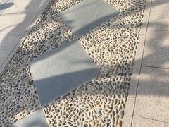 -团结湖公园