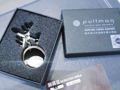 -南京禄口机场雅高铂尔曼大酒店