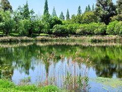 -两河城市森林公园