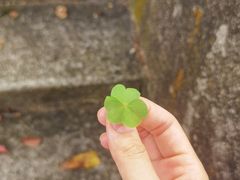 -广州市流溪河国家森林公园