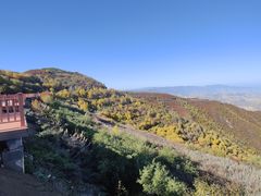 -云顶山风景区