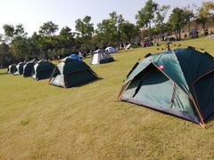 -上海海湾国家森林公园