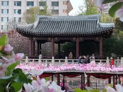 -元大都城垣遗址公园