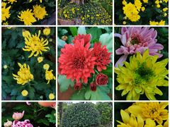 -共青国家森林公园-售票处