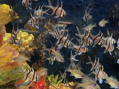 -上海海洋水族馆-停车场