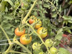 -StorHub 趣存自助仓·迷你仓(虹桥店)