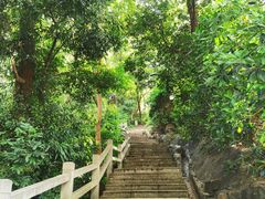-广州市白云山风景名胜区
