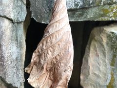 -深圳东部华侨城茵特拉根酒店
