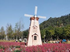 -顺峰山公园