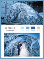 -DC大蔡婚礼策划(李公堤店)