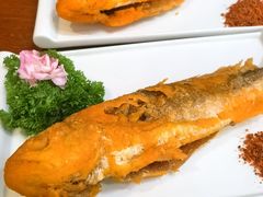 -今日东坡·满庭芳(广汉店)