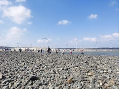 -长江澳风力发电景观区