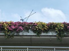 -深圳湾公园(南山区)