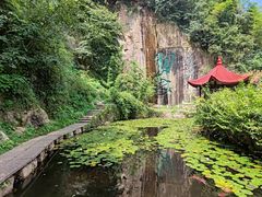 -莫干山风景区