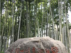 -上海醉白池公园