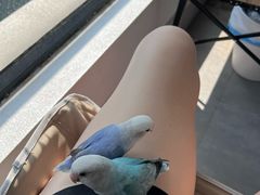 -葑门横街